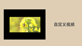 独立站自定义视频工具
